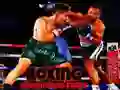 Boxing Champions Fight Boxing Champions Fight