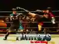 Fighters in the Ring Fighters in the Ring