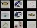 Rings memory Rings memory