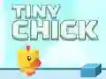 Tiny Chick Tiny Chick