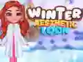 Winter Aesthetic Look Winter Aesthetic Look