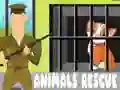 Animals Rescue