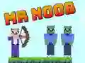 Mr Noob