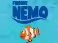 Finding Nemo Finding Nemo