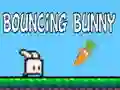 Bouncing Bunny Bouncing Bunny