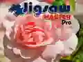 Jigsaw Master Pro Jigsaw Master Pro