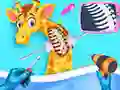 My Pet Vet Hospital My Pet Vet Hospital