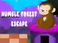 Humble Forest Escape Humble Forest Escape