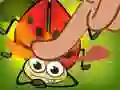 Insect Crush Insect Crush