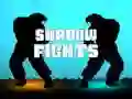 Shadow Fights Shadow Fights