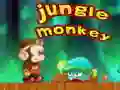 jungle monkey 