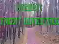 Bernati Forest Adventure Bernati Forest Adventure