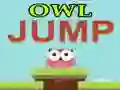 Owl Jump Owl Jump