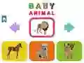 Baby Animal Baby Animal