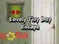 Lovely Tiny Boy Escape Lovely Tiny Boy Escape
