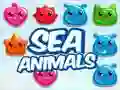 Sea Animals Sea Animals