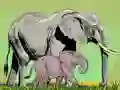 Wild Animals and Their Babies Wild Animals and Their Babies