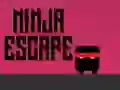 Ninja escape Ninja escape