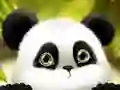Panda Slide
