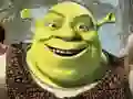 Shrek Jigsaw Puzzle Collection