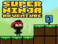 Super Adventure Ninja Super Adventure Ninja
