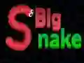 Big Snake Big Snake