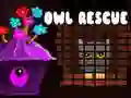 Owl Rescue Owl Rescue