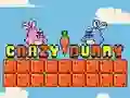 Crazy Bunny Crazy Bunny