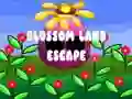 Blossom Land Escape Blossom Land Escape