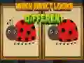 Which Insect Looks Different Which Insect Looks Different