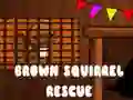 Brown Squirrel Rescue Brown Squirrel Rescue