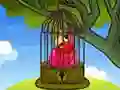 Red Parrot Rescue Red Parrot Rescue