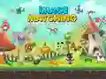 Image Matching Image Matching