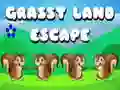 Grassy Land Escape Grassy Land Escape