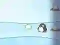 Snowmen vs Penguin Snowmen vs Penguin