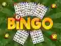 Bingo Revealed Bingo Revealed