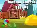 Macaw Couple Escape Macaw Couple Escape