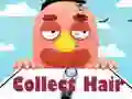 Collect Hair Collect Hair