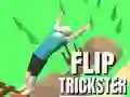 Flip Trickster Flip Trickster