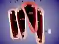Funny Chorus