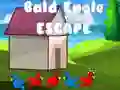Bald Eagle Escape Bald Eagle Escape
