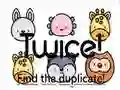 Twice! Find the duplicate Twice! Find the duplicate