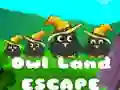Owl Land Escape