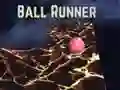 Ball runner Ball runner