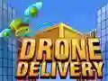 Drone Delivery Drone Delivery