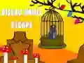 Oiseau House Escape Oiseau House Escape