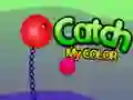 Catch My Color Catch My Color