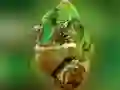 Chameleon Jigsaw Chameleon Jigsaw