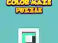 Color Maze Puzzle 