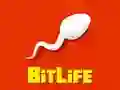 BitLife